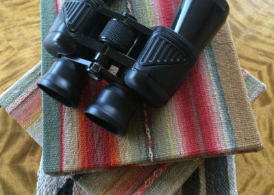Binoculars at Eolo, El Calafate, Argentina