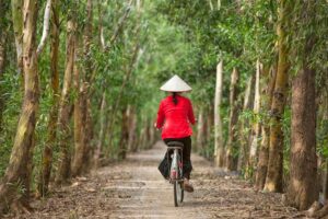 Vietnam. Trails of Indonesia.